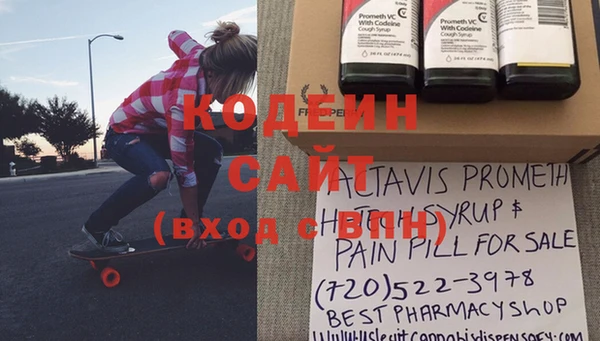 дживик Белокуриха